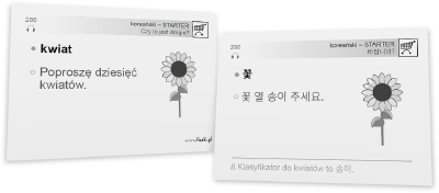 fiszka nauka koreanskiego od podstaw