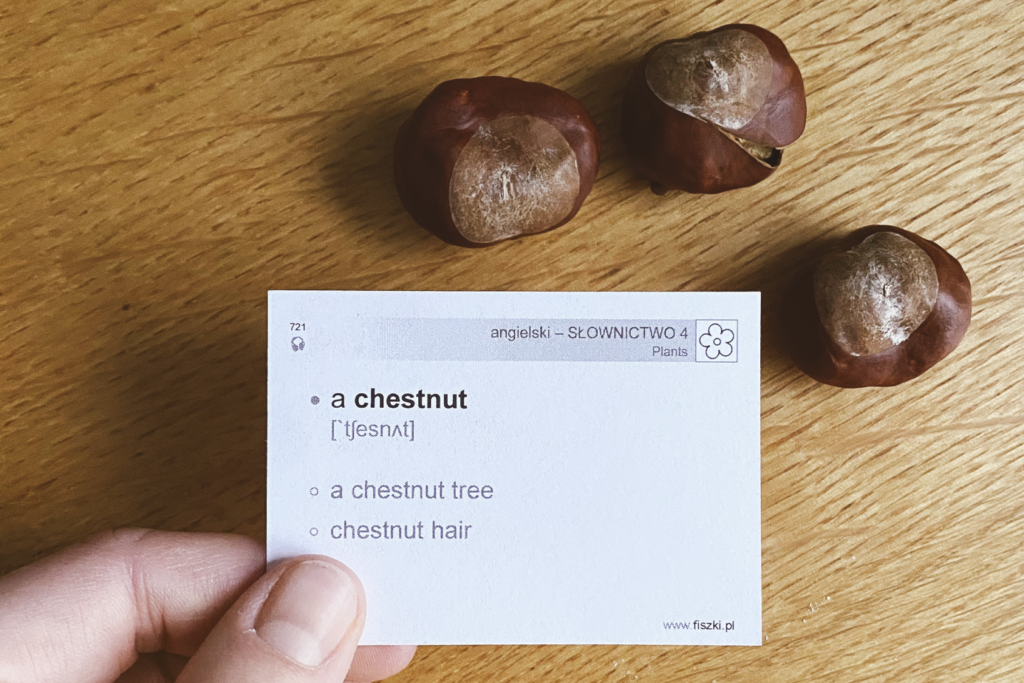 fiszka język angielski chestnut
