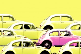 Yellow and Pink Bugs