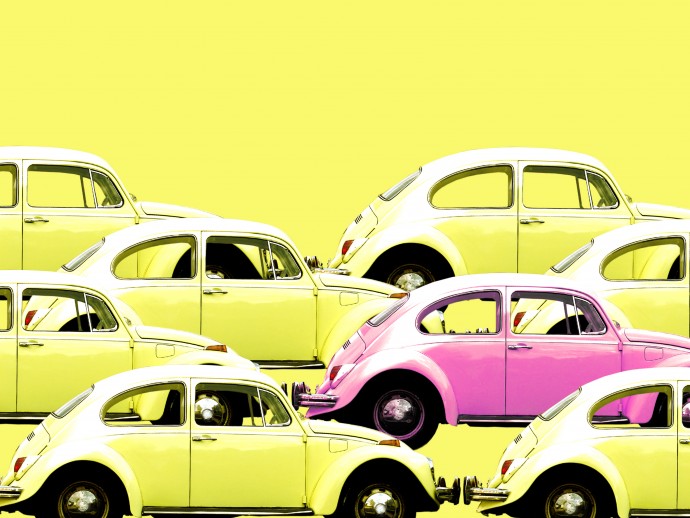 Yellow and Pink Bugs