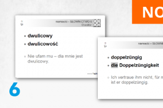 FISZKI - język niemiecki - Słownictwo 6