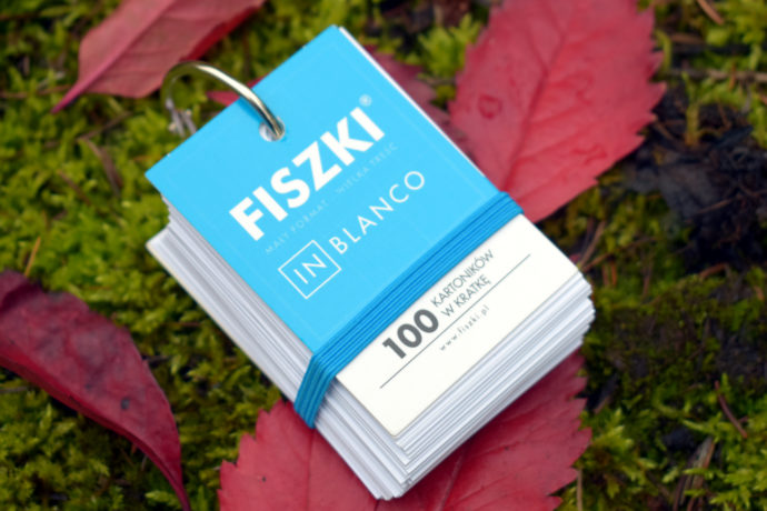 Fiszki in blanco 100