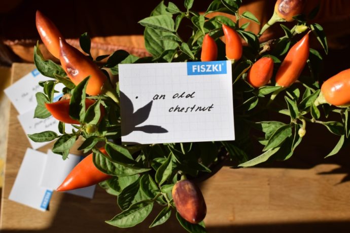 idiomy angielski na fiszkach in blanco