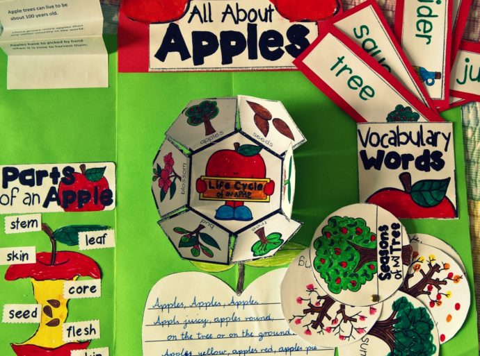 Pomoce do nauki angielskiego dla dzieci